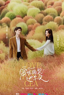 惊爆野兰花海报剧照