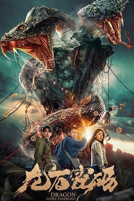 久久久不卡国产精品一区二区海报剧照