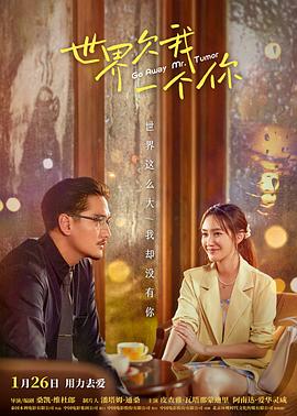 老公和情人的区别海报剧照